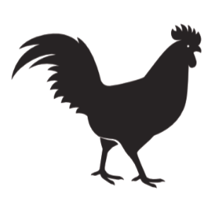 Chewy Treats - Chicken