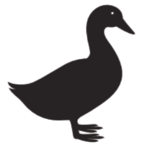 Chewy Treats - Duck