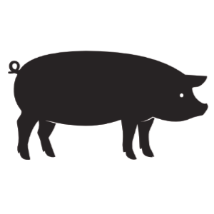 Chewy Treats - Pork