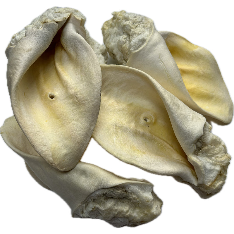 Beef Ears - White
