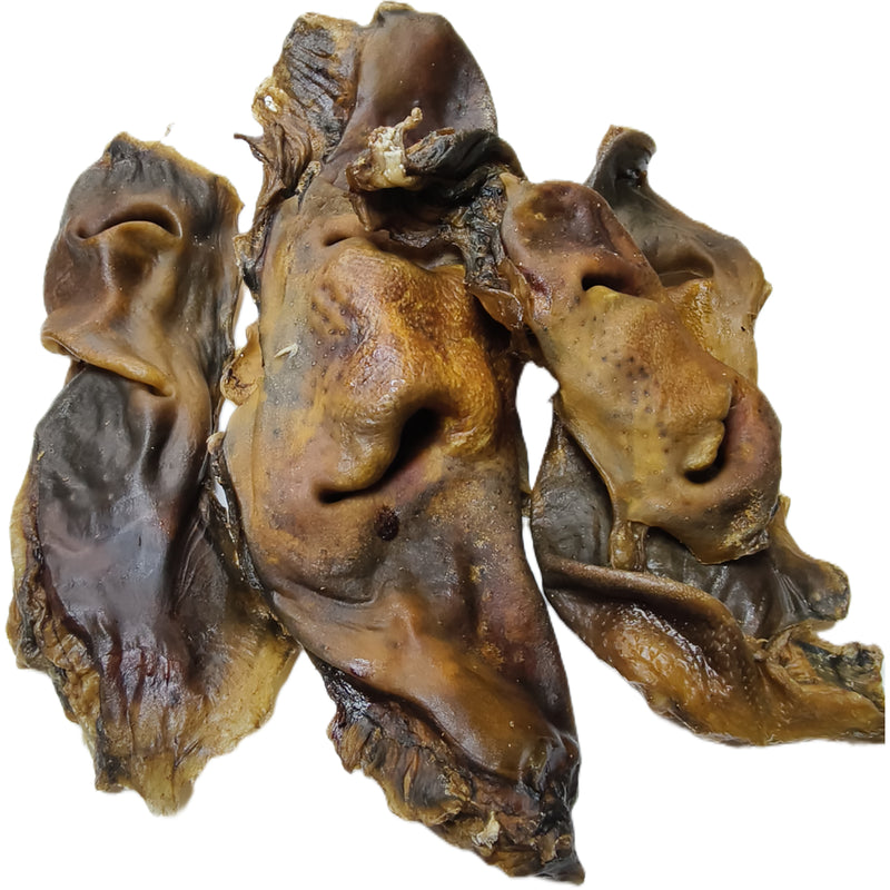 Beef Snouts - Large
