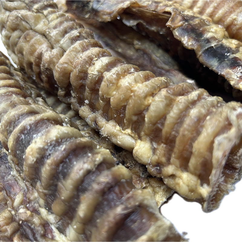 Beef Trachea - 20 cm