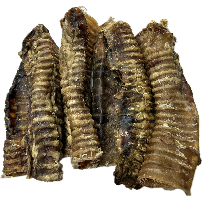 Beef Trachea - 20 cm