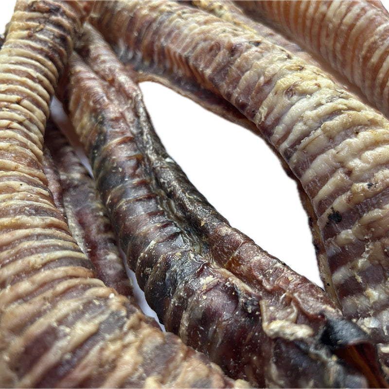 Beef Trachea - 40 cm