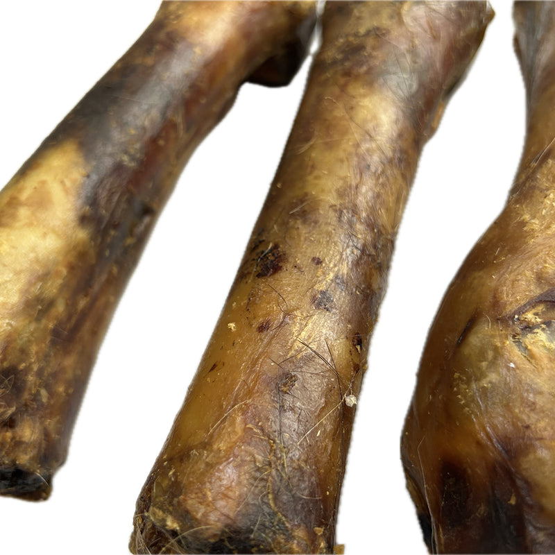 Horse Leg Bones