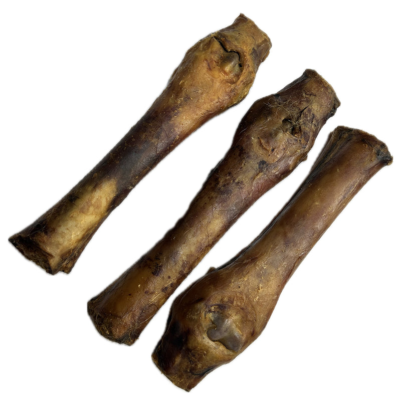 Horse Leg Bones
