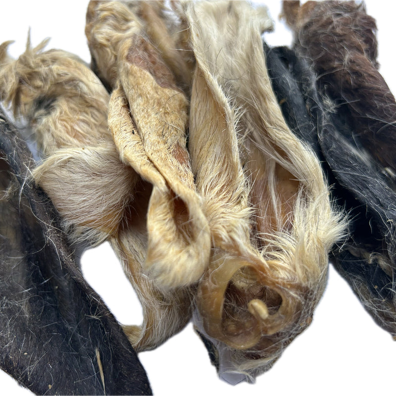 Lamb Ears - Furry