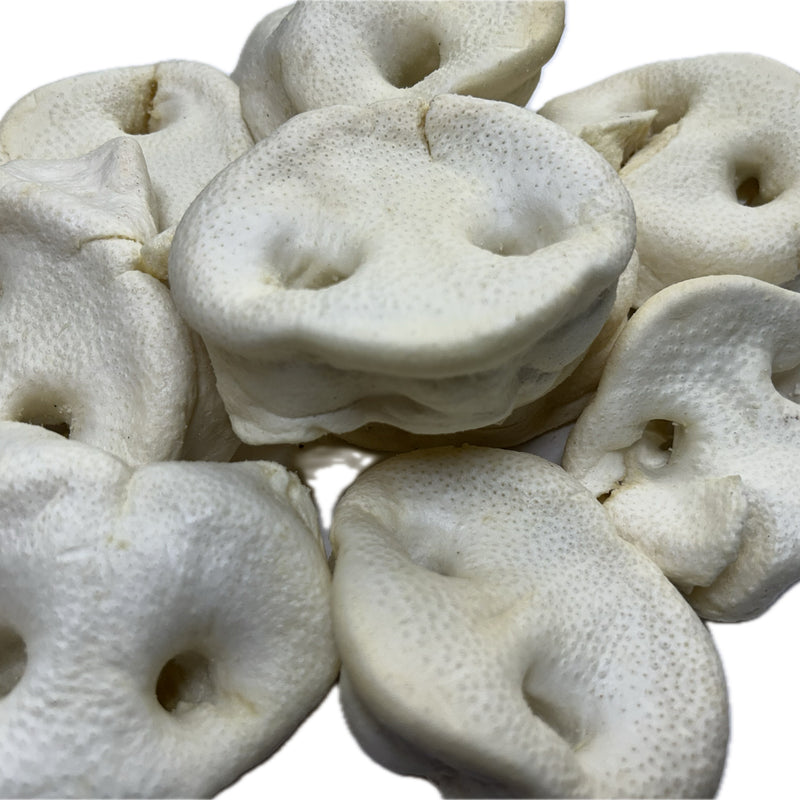 Pork Snouts - White