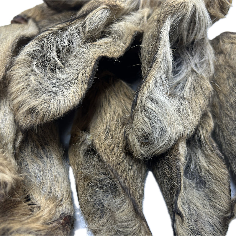 Venison Roe Ears - Furry