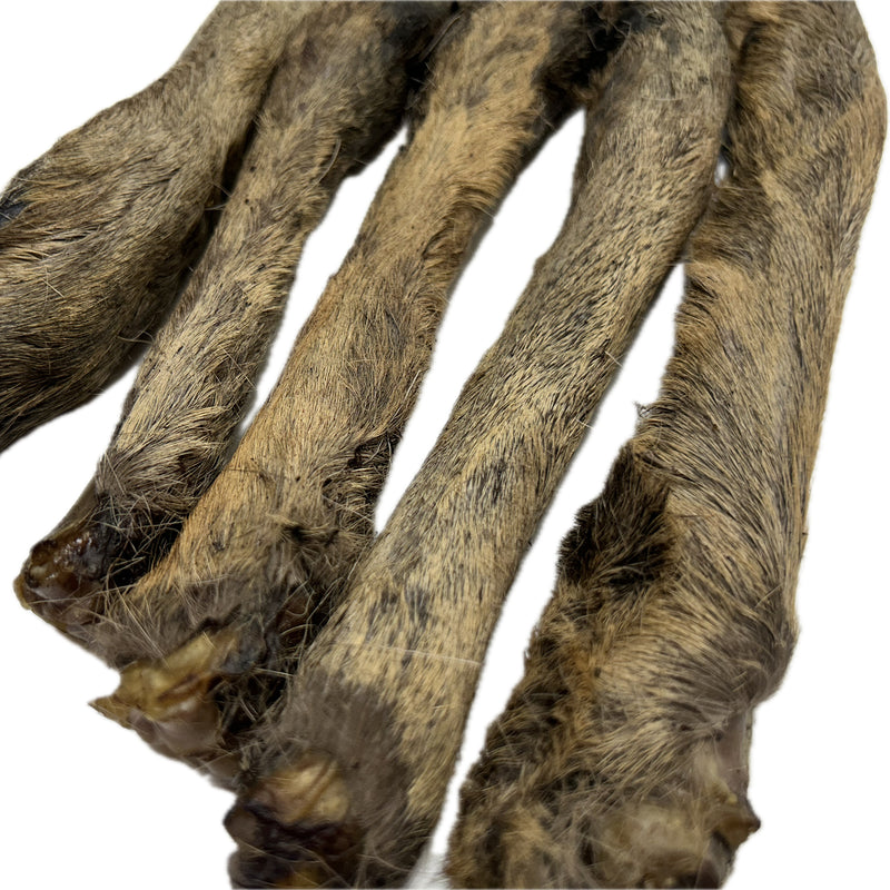 Venison Roe Legs - Furry