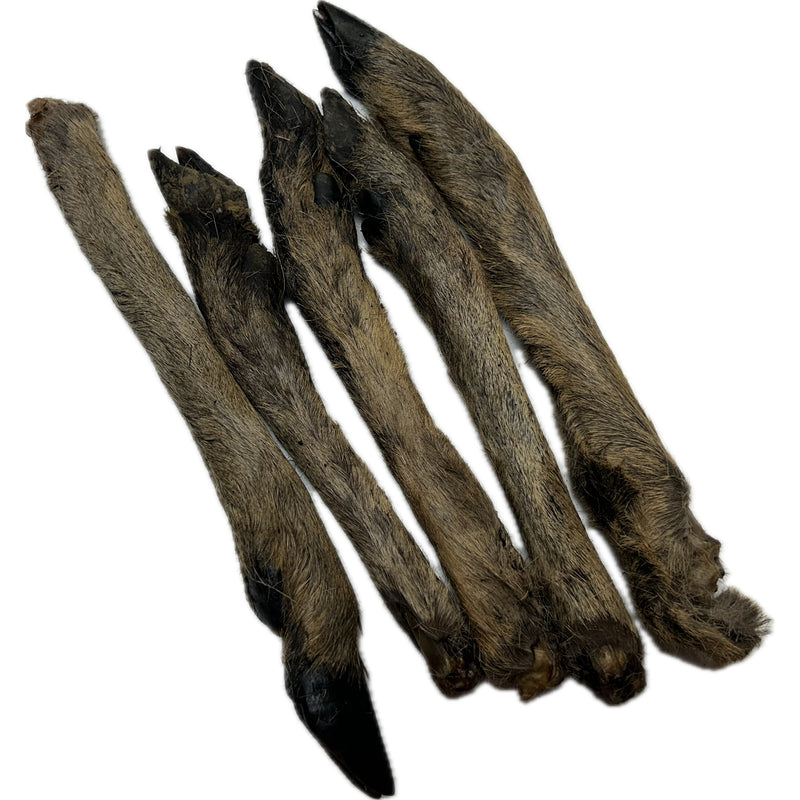 Venison Roe Legs - Furry