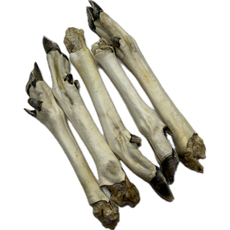 Venison Roe Legs - White