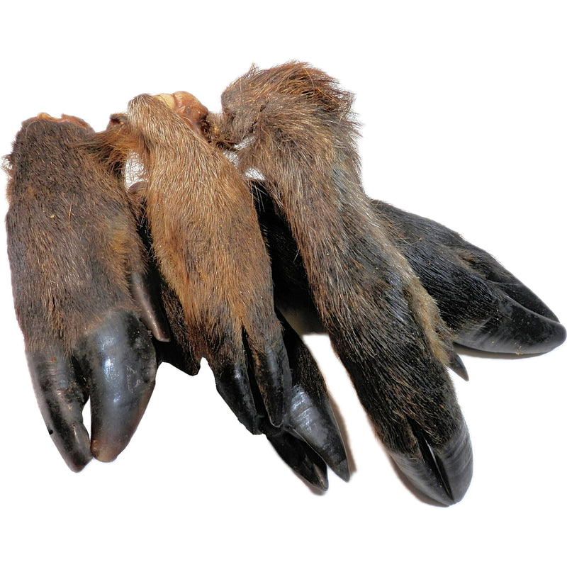 Wild Boar Legs - Furry
