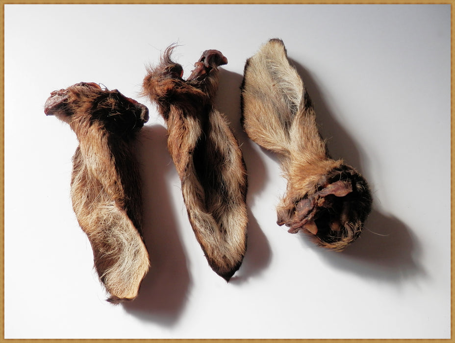 Roe Venison Ears FURRY Jerky 100% Natural Dried Dog Treats
