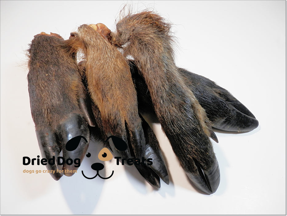 Wild Boar Leg FURRY Jerky 100% Natural Dried Dog Treats